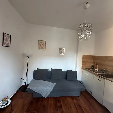 Appartement Hyper-center Cocoon Straatsburg
